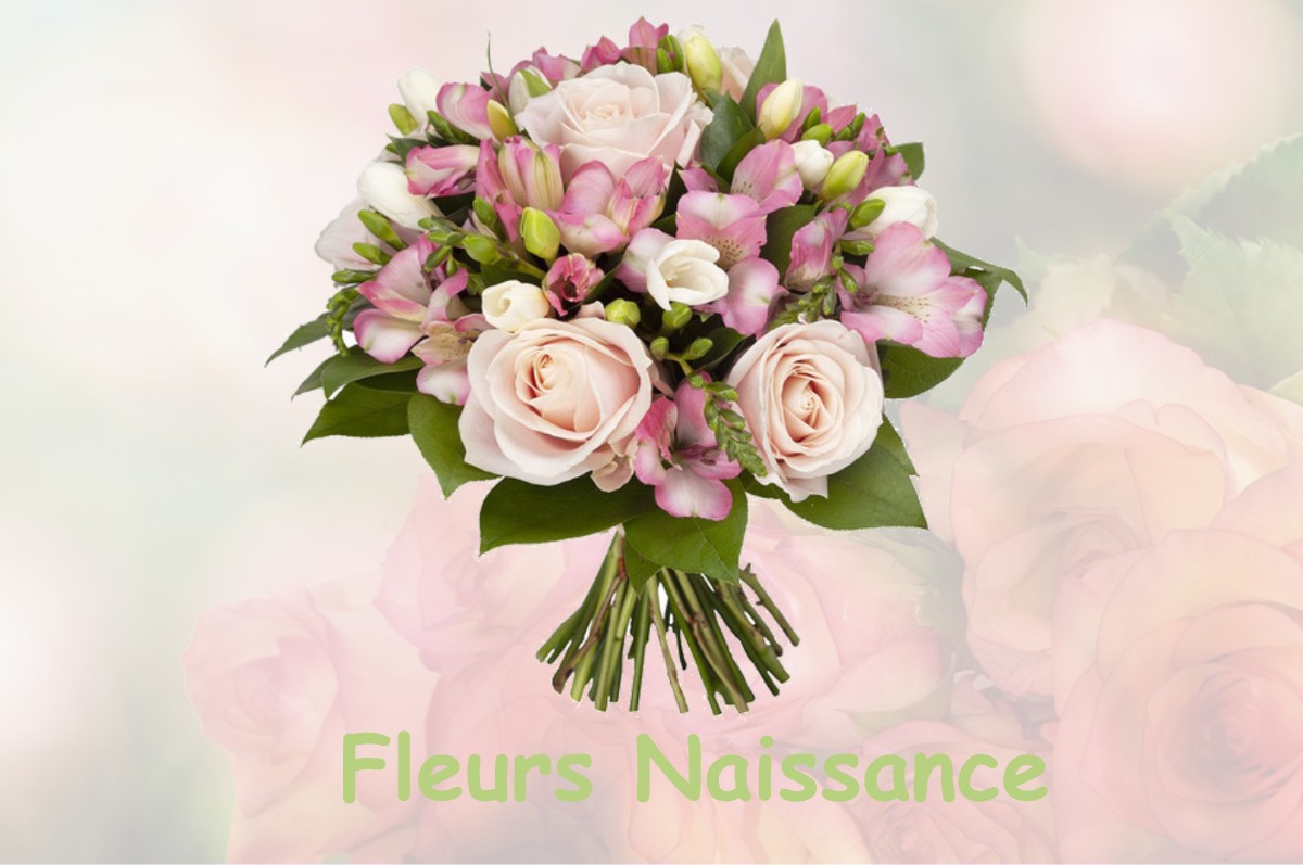 fleurs naissance SALON-DE-PROVENCE