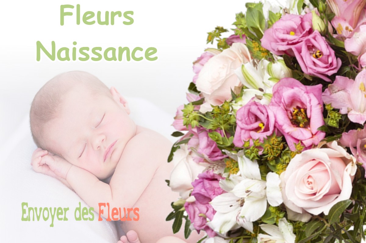 lIVRAISON FLEURS NAISSANCE à SALON-DE-PROVENCE